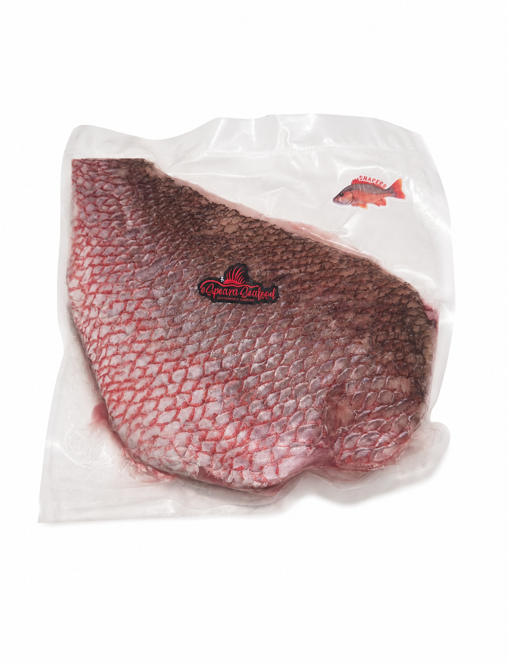 Snapper